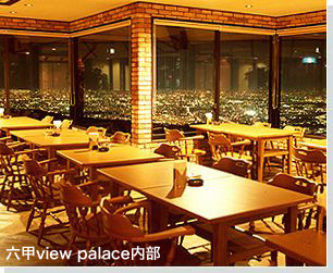 �K�[�f���e���X����ViewPalace���X�g����