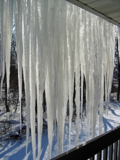 2/19��