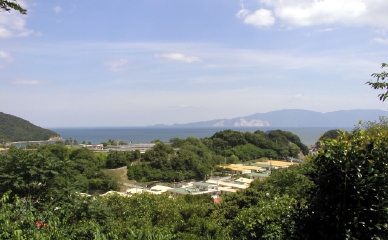 ������쓏