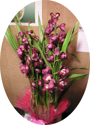 �L�O�i�F�V���r�W���[��
