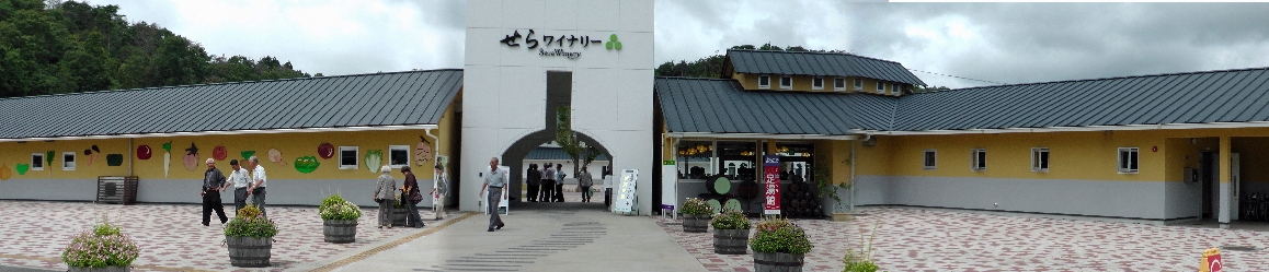世羅ワイナリーpano