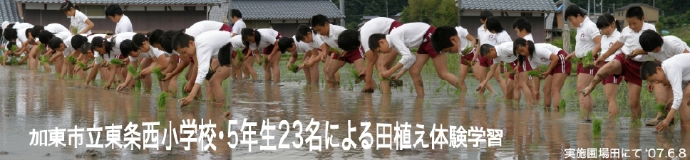 田植え作業のパノラマ合成