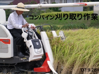 �R���o�C������
