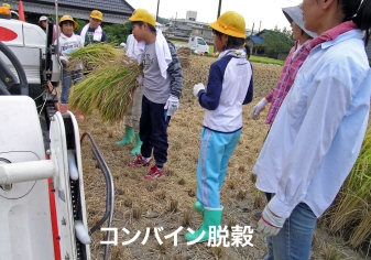 �蓮�ň�����