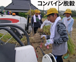 ��肭�s����