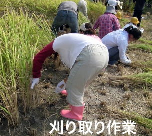 �����聕����1