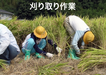 �����聕����2