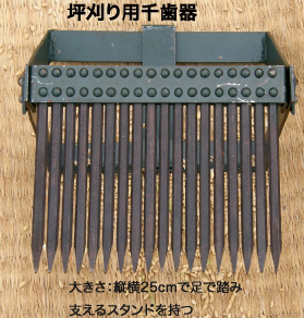 �Ȉ՗p�玕���