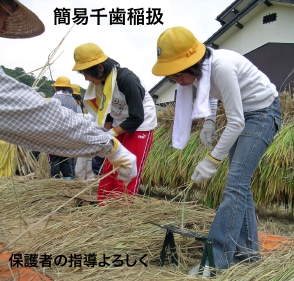 �ȈՐ玕���