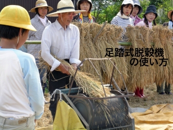 �������E���@�̎g�����w��