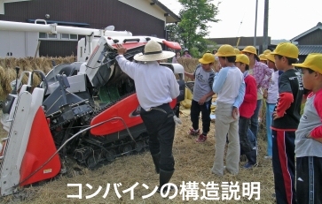 �R���o�C���̐_�c����