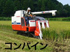 �R���o�C��