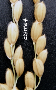 ��/�L�k�q�J��