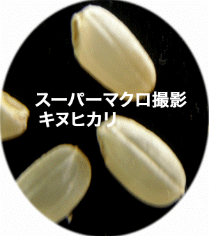 ����/�L�k�q�J��/�X�[�p�[�}�N���B�e