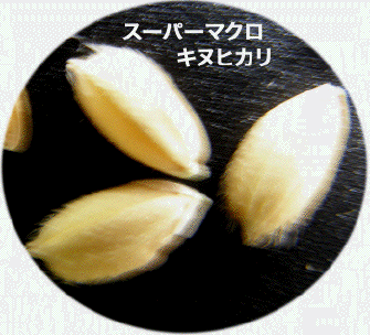 ��/�L�k�q�J��/�p�[�}�N���B�e
