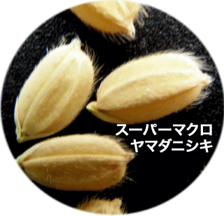 ��/���}�_�j�V�L/�p�[�}�N���B�e