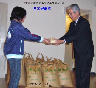 �I�v�̑��掮