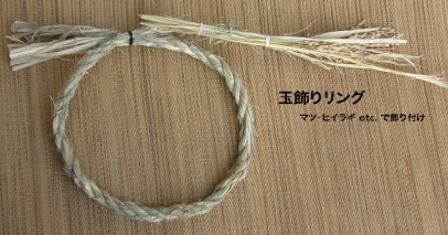 �ʏ��胊���N