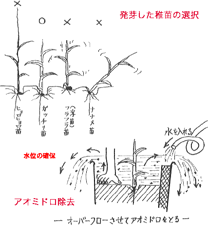 �t�c�̊Ԉ����ƃA�I�~�h������