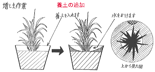 �{�y�̒ǉ���[