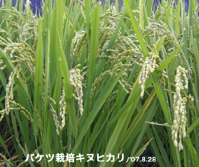 �L�k�q�J��8/28