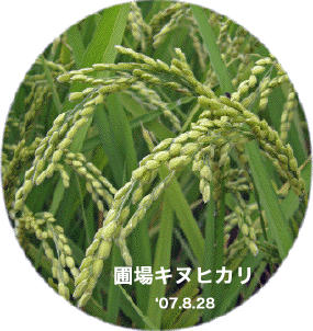 �ޏ�L�k�q�J��8/28