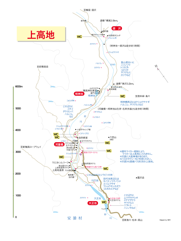 散策map