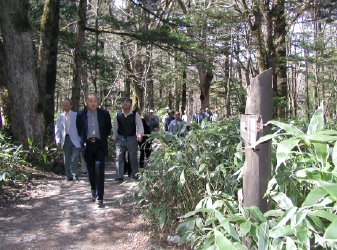 散策中