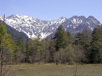 湿原