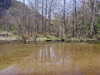 田代池