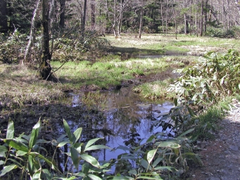 中ノ瀬公園