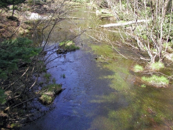 中ノ瀬橋