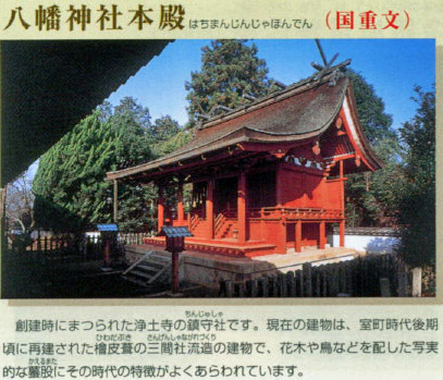 �p���t���b�g6
