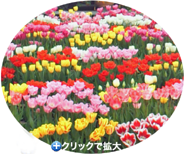 �`���[���b�vup��