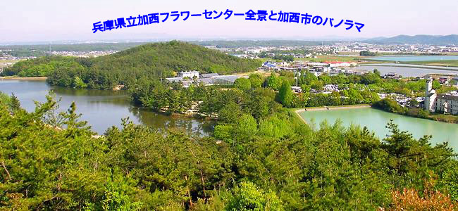 Flower Center�S�i