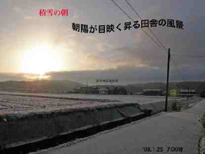�c�ɂ̌i�F