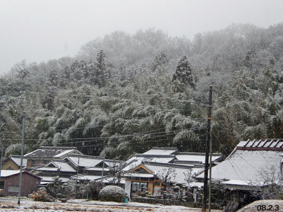 ���R�̐�i�F