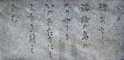 11/20�k�W�H�k�ЋL�O����