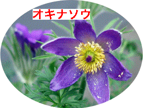 ILi\E