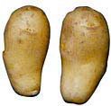 ����̓��[�N�C��