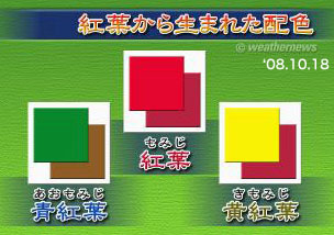 紅葉時の配色