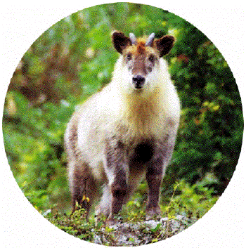 �j�z���J���V�J
