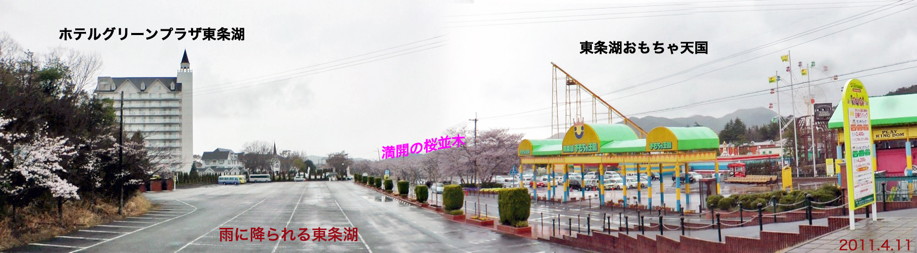 桜花満開の東条湖周辺